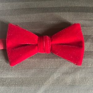Calvin Klein velvet red bow tie